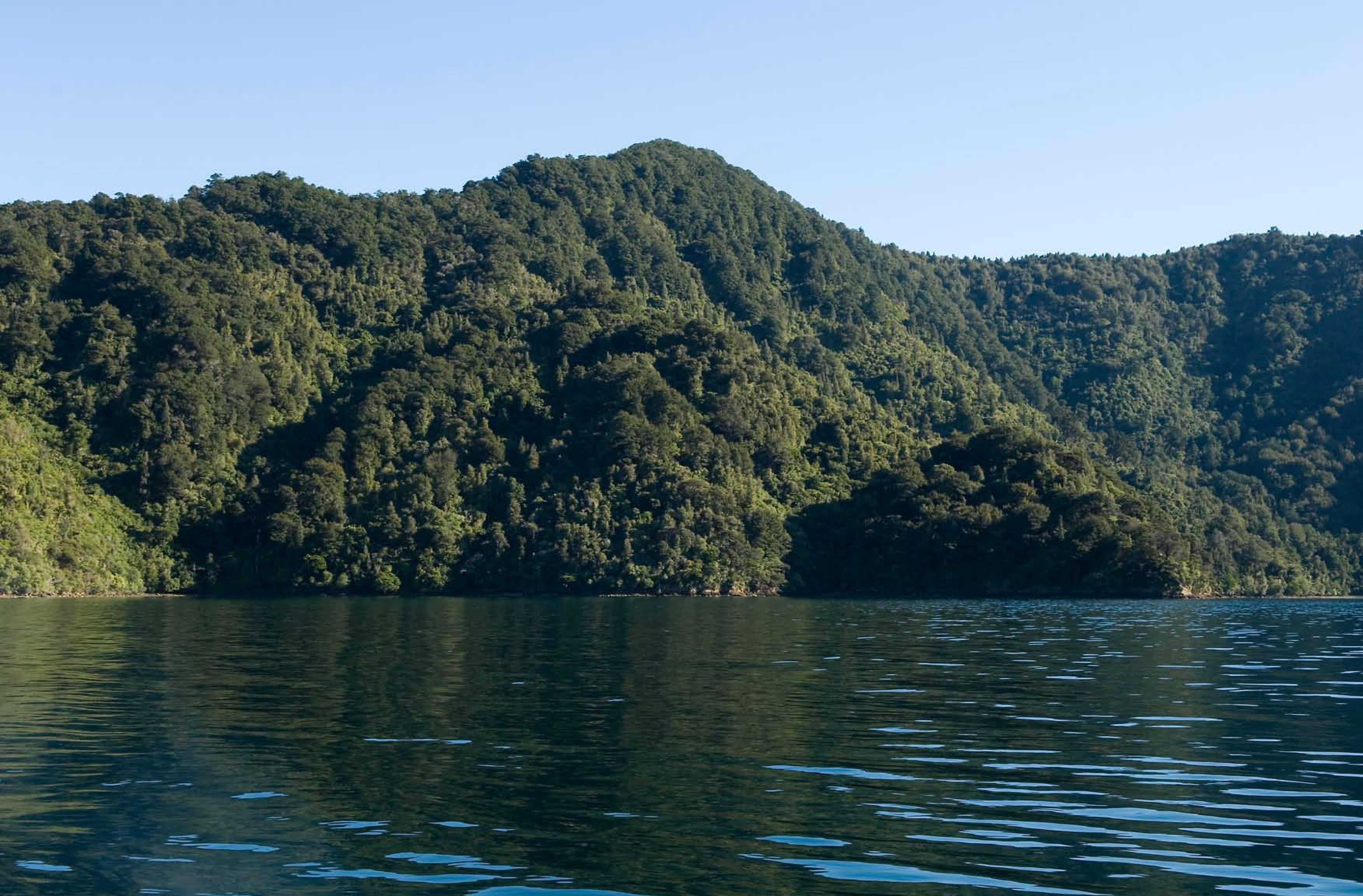 Kumutoto Bay Bach